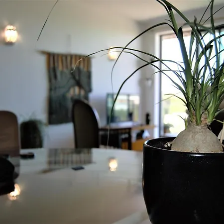 Apartment T1 Mahara - Golf Residence Vilamoura *